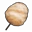 Caramel Cotton Candy