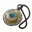 Vanguard Charm
