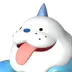 Polapup