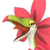 Tropicaw